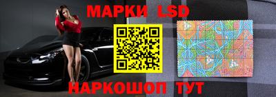 стафф Кингисепп