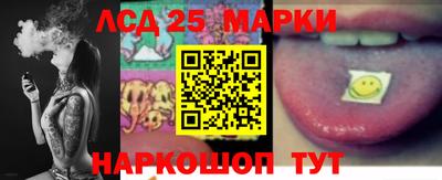 стафф Кингисепп