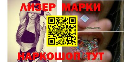 стафф Кингисепп