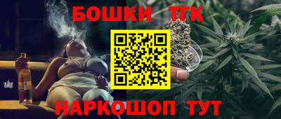 стафф Кингисепп