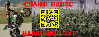 прущий лед Пугачёв