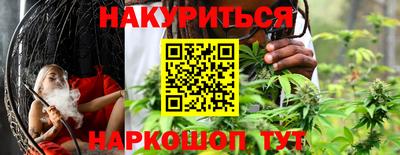 стафф Кингисепп