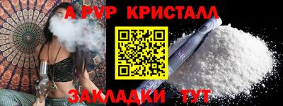 стафф Кингисепп