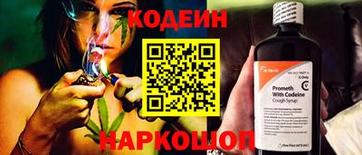 стафф Кингисепп