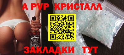 стафф Кингисепп