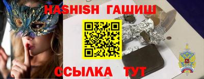 стафф Кингисепп